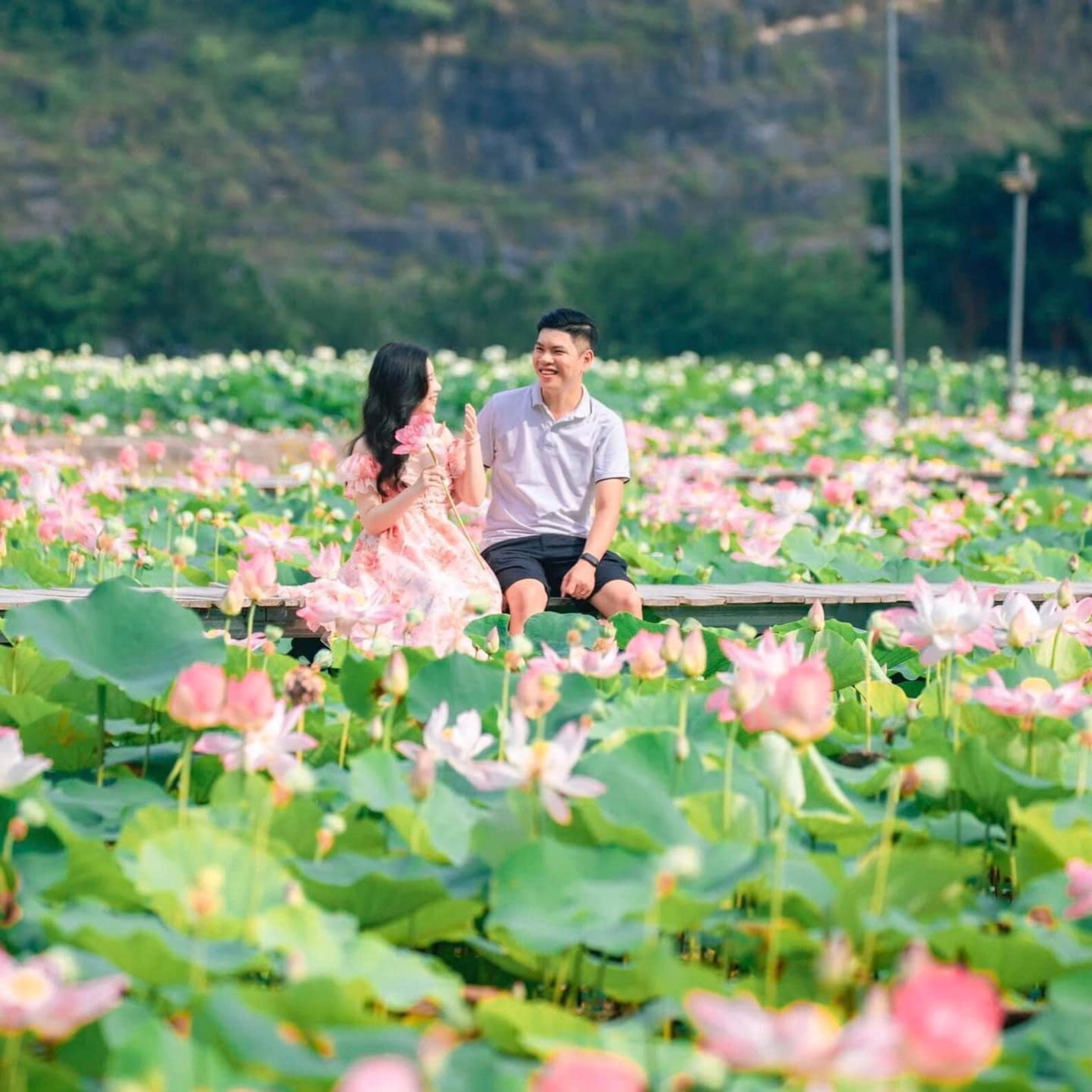 Checkin-dam-sen-no-o-hang-mua-ninh-binh
